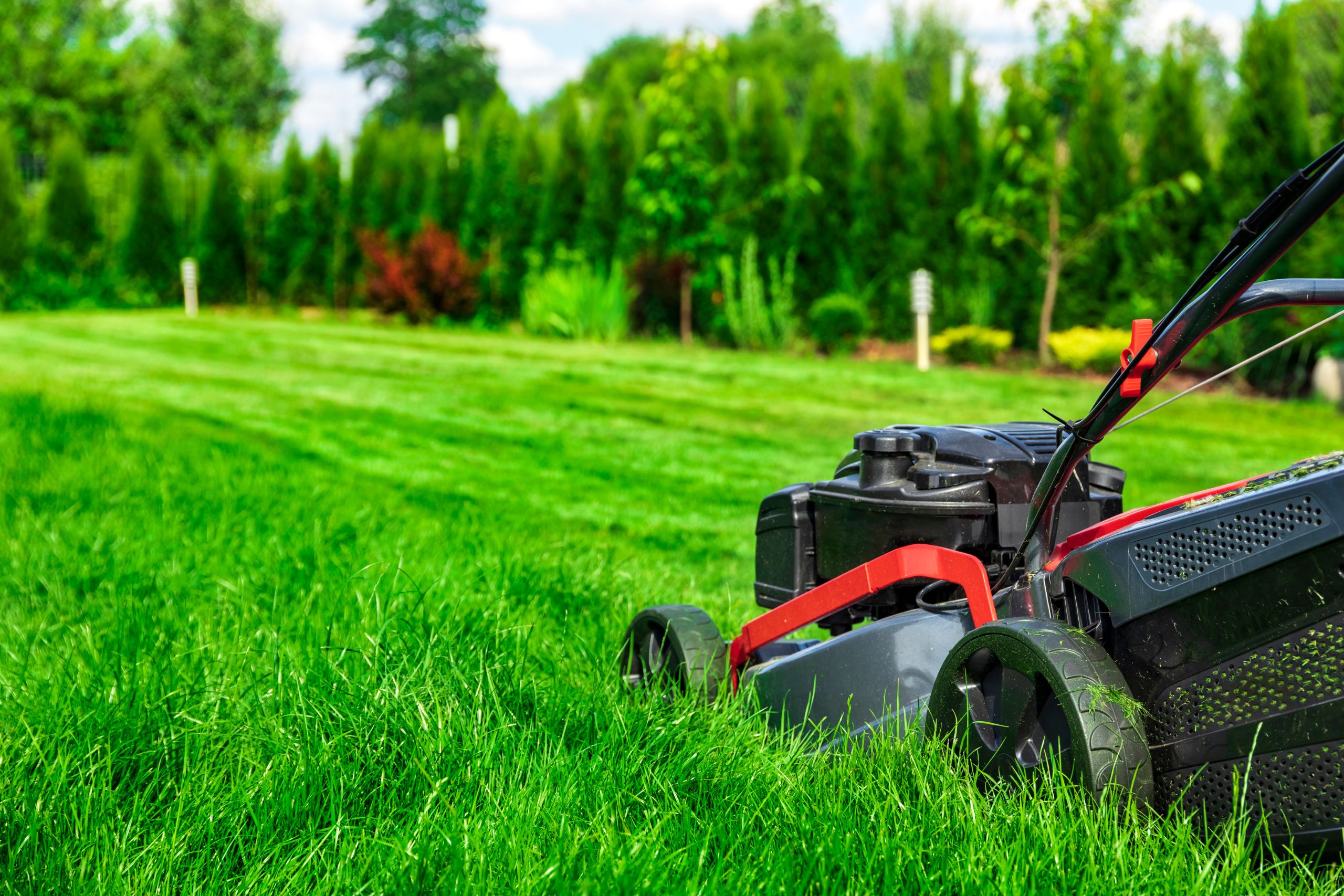 Improve Your Yard_ Workable Lawn Care And Landscape Techniques