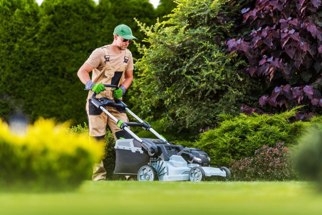 When to Hire Landscaping Professionals